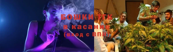шишки Володарск
